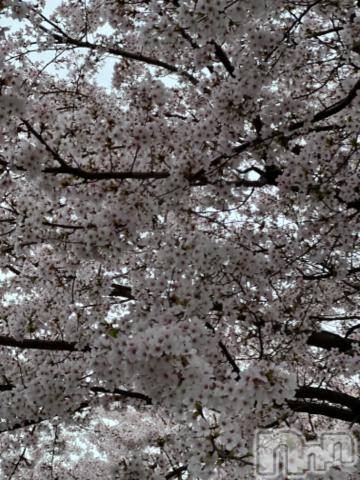 新潟デリヘル五十路マダム新潟店(カサブランカグループ)(イソジマダムニイガタテン) 夏目みな(51)の3月20日写メブログ「4/6」