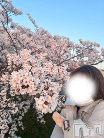 新潟デリヘル五十路マダム新潟店(カサブランカグループ)(イソジマダムニイガタテン) 夏目みな(51)の4月13日写メブログ「お花見」