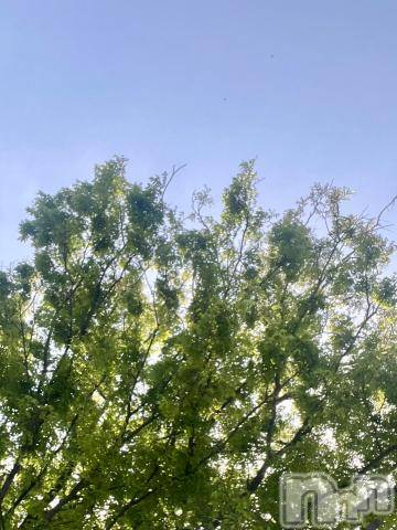 新潟デリヘル五十路マダム新潟店(カサブランカグループ)(イソジマダムニイガタテン) 夏目みな(51)の4月26日写メブログ「失敗した」