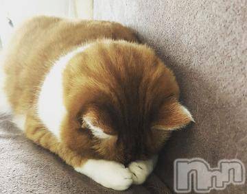 新潟デリヘル五十路マダム新潟店(カサブランカグループ)(イソジマダムニイガタテン) 夏目みな(51)の5月4日写メブログ「変更です…」