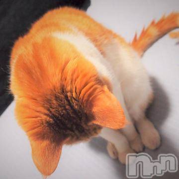 新潟デリヘル五十路マダム新潟店(カサブランカグループ)(イソジマダムニイガタテン) 夏目みな(51)の5月11日写メブログ「あ…」