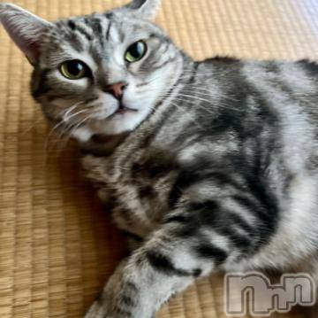 新潟デリヘル五十路マダム新潟店(カサブランカグループ)(イソジマダムニイガタテン) 夏目みな(51)の6月11日写メブログ「最近」