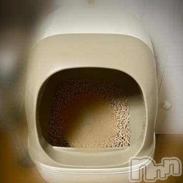 新潟デリヘル五十路マダム新潟店(カサブランカグループ)(イソジマダムニイガタテン) 夏目みな(51)の6月12日写メブログ「ニャンとも」