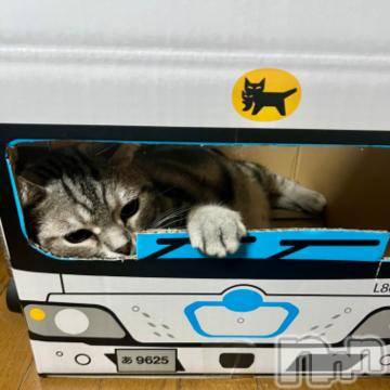 新潟デリヘル五十路マダム新潟店(カサブランカグループ)(イソジマダムニイガタテン) 夏目みな(51)の8月8日写メブログ「お気に入り」