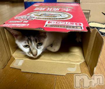 新潟デリヘル五十路マダム新潟店(カサブランカグループ)(イソジマダムニイガタテン) 夏目みな(51)の9月18日写メブログ「下手なオモチャより」