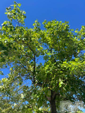 新潟デリヘル五十路マダム新潟店(カサブランカグループ)(イソジマダムニイガタテン) 夏目みな(51)の9月24日写メブログ「気持ちいい」