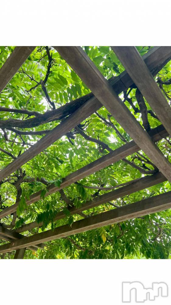 新潟デリヘル五十路マダム新潟店(カサブランカグループ)(イソジマダムニイガタテン) 夏目みな(51)の10月2日写メブログ「ボーーー」