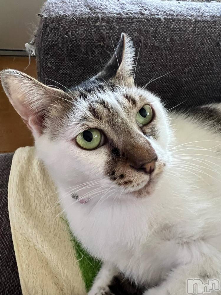 新潟デリヘル五十路マダム新潟店(カサブランカグループ)(イソジマダムニイガタテン) 夏目みな(51)の11月1日写メブログ「うるさい」