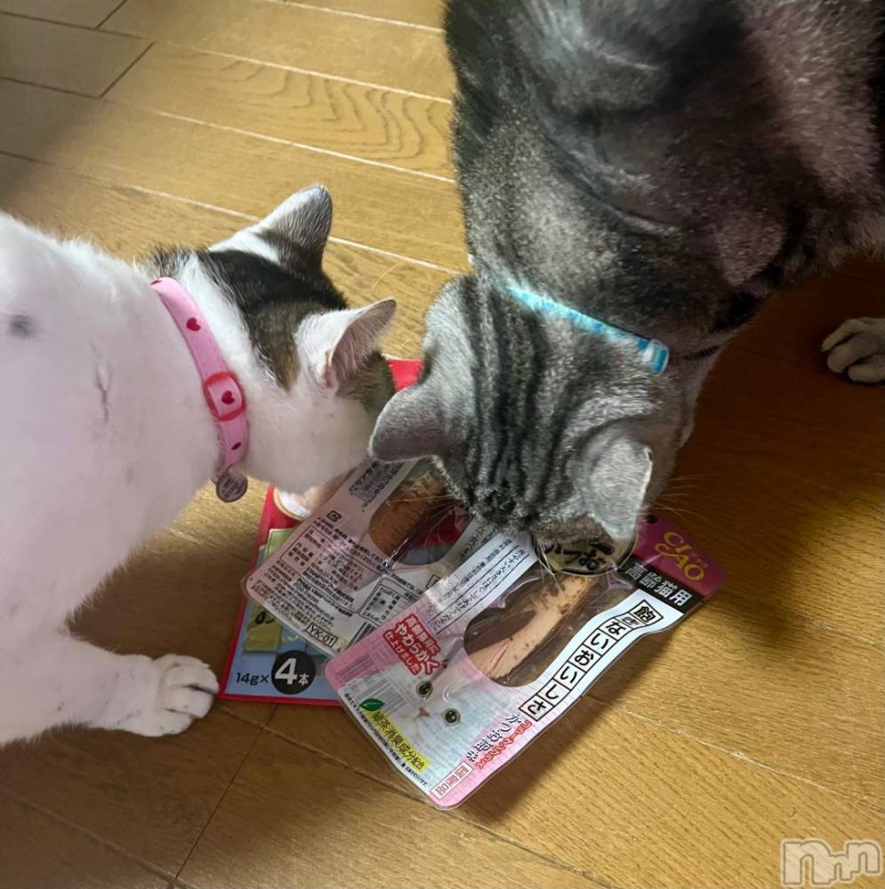 新潟デリヘル五十路マダム新潟店(カサブランカグループ)(イソジマダムニイガタテン) 夏目みな(51)の11月11日写メブログ「僕たちの」