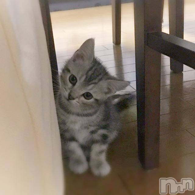 新潟デリヘル五十路マダム新潟店(カサブランカグループ)(イソジマダムニイガタテン) 夏目みな(51)の12月7日写メブログ「かわいいは正義…！」