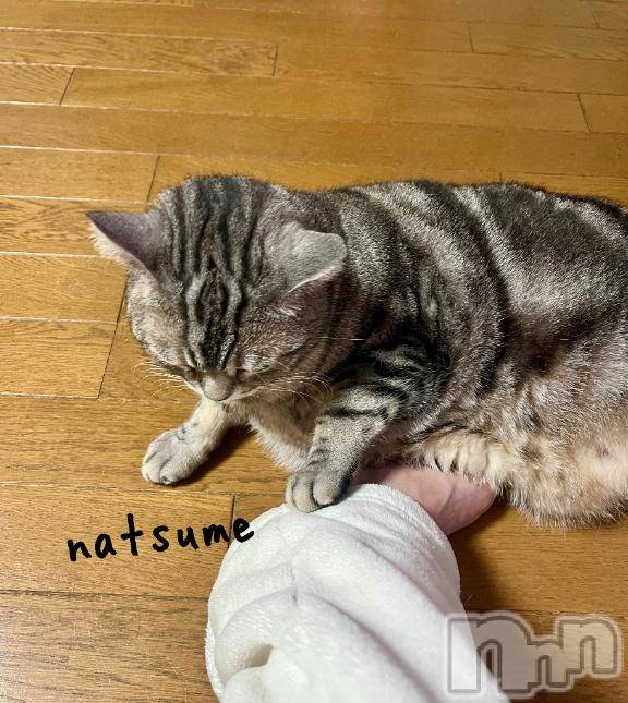 新潟デリヘル五十路マダム新潟店(カサブランカグループ)(イソジマダムニイガタテン) 夏目みな(51)の4月6日写メブログ「今日も」