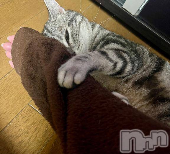 新潟デリヘル五十路マダム新潟店(カサブランカグループ)(イソジマダムニイガタテン) 夏目みな(51)の4月8日写メブログ「バス停で」