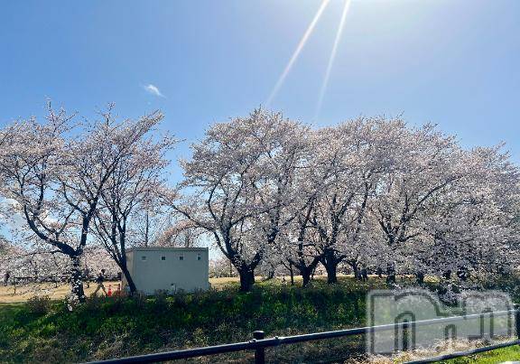 新潟デリヘル五十路マダム新潟店(カサブランカグループ)(イソジマダムニイガタテン) 夏目みな(51)の4月15日写メブログ「終わり」