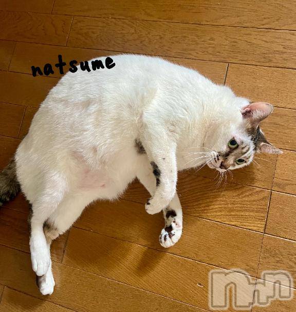 新潟デリヘル五十路マダム新潟店(カサブランカグループ)(イソジマダムニイガタテン) 夏目みな(51)の5月2日写メブログ「うちの三男坊」