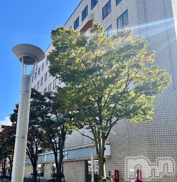 新潟デリヘル五十路マダム新潟店(カサブランカグループ)(イソジマダムニイガタテン) 夏目みな(51)の5月13日写メブログ「晴れてるねー」