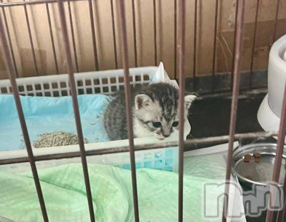 新潟デリヘル五十路マダム新潟店(カサブランカグループ)(イソジマダムニイガタテン) 夏目みな(51)の6月23日写メブログ「家族が」