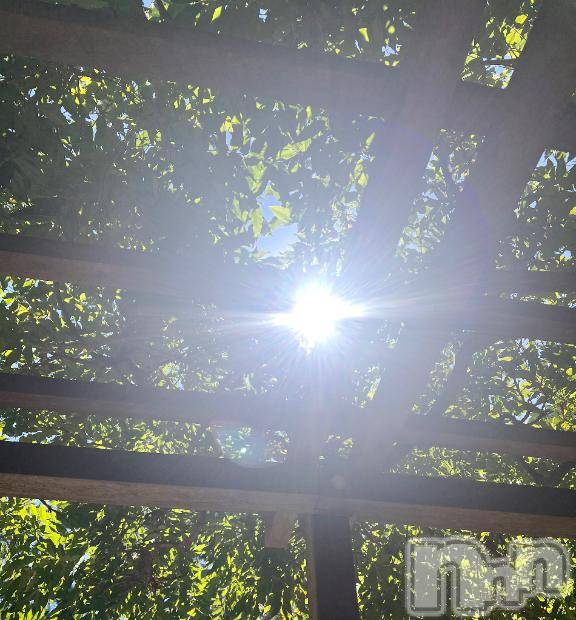 新潟デリヘル五十路マダム新潟店(カサブランカグループ)(イソジマダムニイガタテン) 夏目みな(51)の7月2日写メブログ「[お題]from:答えは明日♪さん」