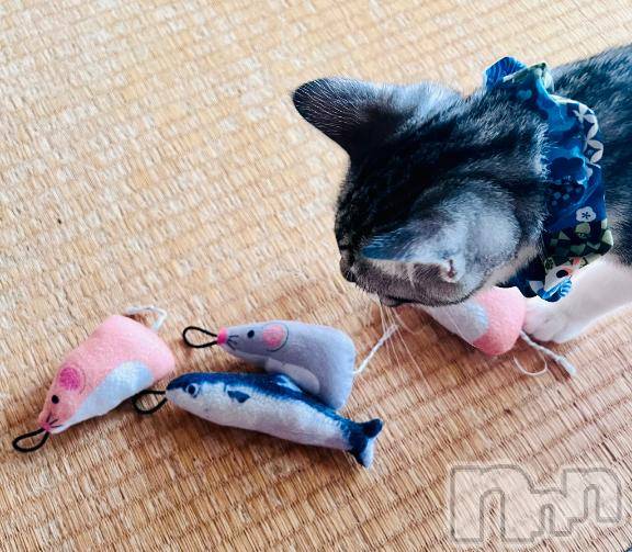 新潟デリヘル五十路マダム新潟店(カサブランカグループ)(イソジマダムニイガタテン) 夏目みな(51)の9月23日写メブログ「お気に入り」