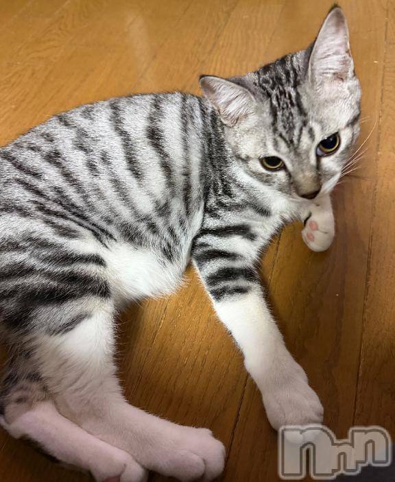 新潟デリヘル五十路マダム新潟店(カサブランカグループ)(イソジマダムニイガタテン) 夏目みな(51)の11月25日写メブログ「入院」