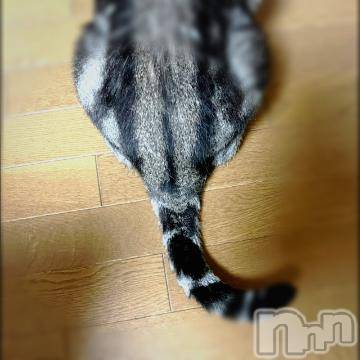 新潟デリヘル五十路マダム新潟店(カサブランカグループ)(イソジマダムニイガタテン)夏目みな(51)の2022年9月10日写メブログ「お疲れさまです」