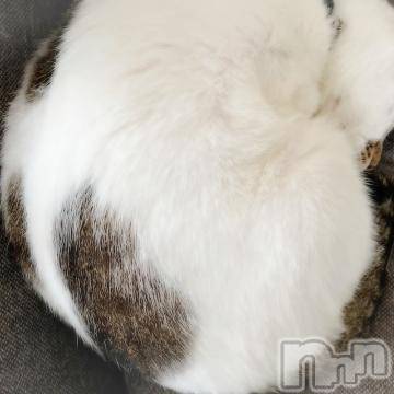 新潟デリヘル五十路マダム新潟店(カサブランカグループ)(イソジマダムニイガタテン)夏目みな(51)の2022年9月20日写メブログ「お疲れさまです」