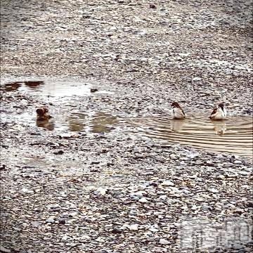 新潟デリヘル五十路マダム新潟店(カサブランカグループ)(イソジマダムニイガタテン)夏目みな(51)の2022年10月9日写メブログ「明日」