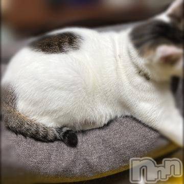 新潟デリヘル五十路マダム新潟店(カサブランカグループ)(イソジマダムニイガタテン)夏目みな(51)の2022年12月17日写メブログ「リクエスト」