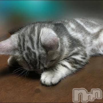 新潟デリヘル五十路マダム新潟店(カサブランカグループ)(イソジマダムニイガタテン)夏目みな(51)の2023年1月7日写メブログ「冬は…」