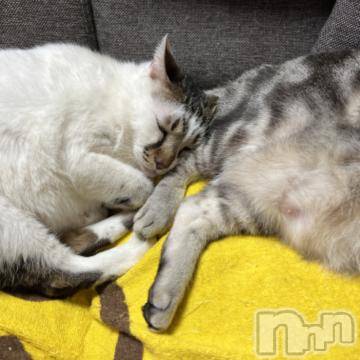 新潟デリヘル五十路マダム新潟店(カサブランカグループ)(イソジマダムニイガタテン)夏目みな(51)の2023年2月7日写メブログ「大好き」