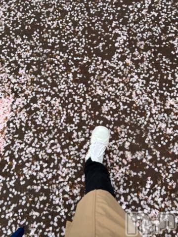 新潟デリヘル五十路マダム新潟店(カサブランカグループ)(イソジマダムニイガタテン)夏目みな(51)の2023年4月7日写メブログ「明日」