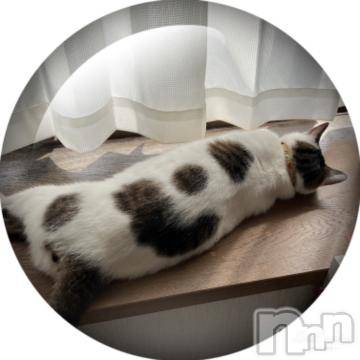 新潟デリヘル五十路マダム新潟店(カサブランカグループ)(イソジマダムニイガタテン)夏目みな(51)の2023年5月17日写メブログ「おはようございます」