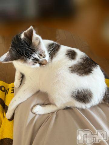 新潟デリヘル五十路マダム新潟店(カサブランカグループ)(イソジマダムニイガタテン)夏目みな(51)の2023年6月8日写メブログ「動けない」