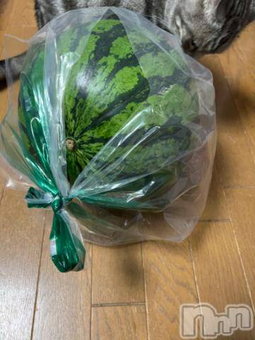 新潟デリヘル五十路マダム新潟店(カサブランカグループ)(イソジマダムニイガタテン)夏目みな(51)の2023年7月31日写メブログ「おはようございます」