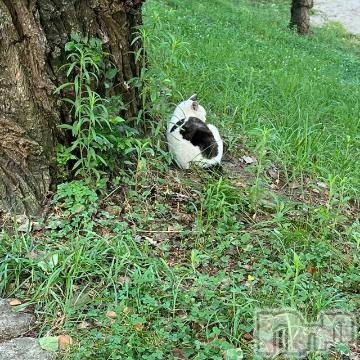 新潟デリヘル五十路マダム新潟店(カサブランカグループ)(イソジマダムニイガタテン)夏目みな(51)の2023年8月1日写メブログ「おはようございます」