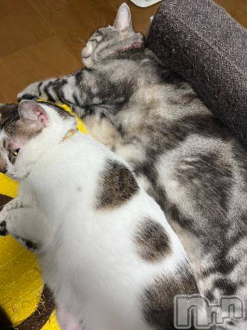 新潟デリヘル五十路マダム新潟店(カサブランカグループ)(イソジマダムニイガタテン)夏目みな(51)の2023年8月9日写メブログ「おはようございます」