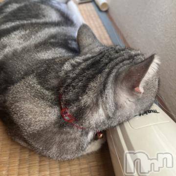 新潟デリヘル五十路マダム新潟店(カサブランカグループ)(イソジマダムニイガタテン)夏目みな(51)の2023年8月11日写メブログ「おはようございます」