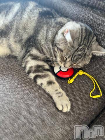 新潟デリヘル五十路マダム新潟店(カサブランカグループ)(イソジマダムニイガタテン)夏目みな(51)の2023年8月19日写メブログ「おはようございます」