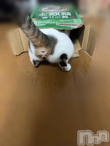 新潟デリヘル五十路マダム新潟店(カサブランカグループ)(イソジマダムニイガタテン)夏目みな(51)の2023年8月21日写メブログ「箱…」