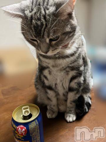 新潟デリヘル五十路マダム新潟店(カサブランカグループ)(イソジマダムニイガタテン)夏目みな(51)の2023年9月11日写メブログ「おはようございます」