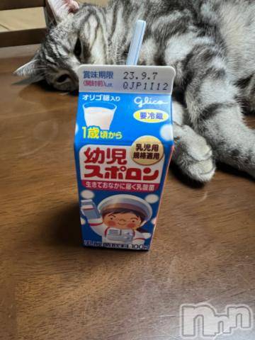 新潟デリヘル五十路マダム新潟店(カサブランカグループ)(イソジマダムニイガタテン)夏目みな(51)の2023年9月16日写メブログ「おはようございます」