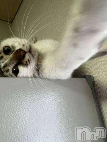 新潟デリヘル五十路マダム新潟店(カサブランカグループ)(イソジマダムニイガタテン)夏目みな(51)の2023年9月29日写メブログ「おはようございます」