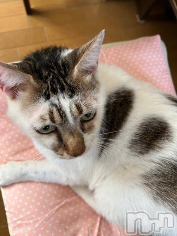 新潟デリヘル五十路マダム新潟店(カサブランカグループ)(イソジマダムニイガタテン)夏目みな(51)の2023年10月20日写メブログ「こんにちは」