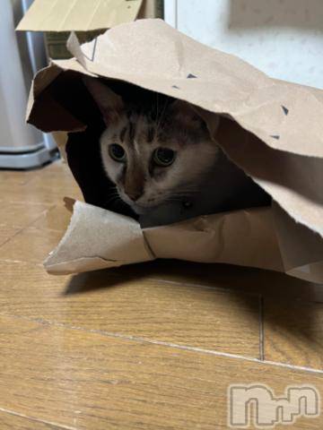 新潟デリヘル五十路マダム新潟店(カサブランカグループ)(イソジマダムニイガタテン)夏目みな(51)の2023年10月22日写メブログ「おはようございます」