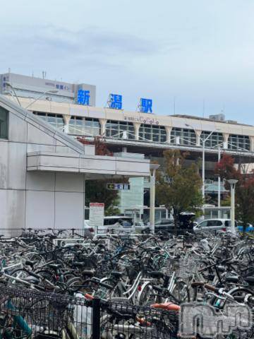 新潟デリヘル五十路マダム新潟店(カサブランカグループ)(イソジマダムニイガタテン)夏目みな(51)の2023年10月30日写メブログ「おはようございます」