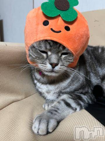 新潟デリヘル五十路マダム新潟店(カサブランカグループ)(イソジマダムニイガタテン)夏目みな(51)の2023年11月1日写メブログ「数日前に」