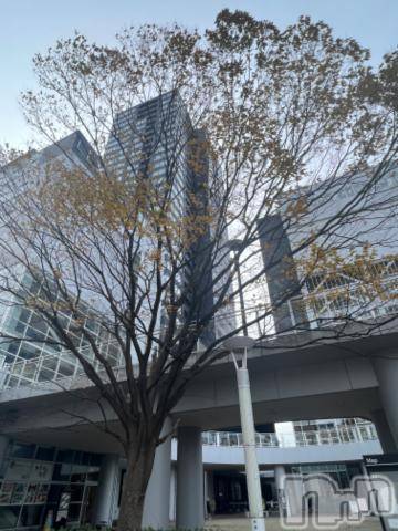 新潟デリヘル五十路マダム新潟店(カサブランカグループ)(イソジマダムニイガタテン)夏目みな(51)の2023年12月28日写メブログ「バスターミナルで」