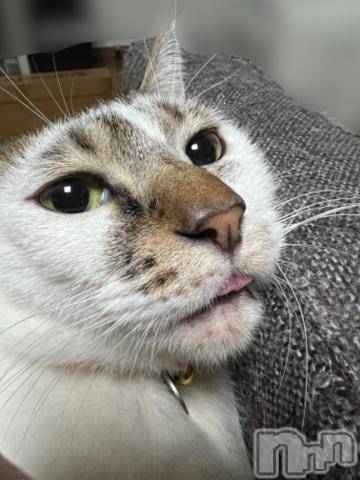 新潟デリヘル五十路マダム新潟店(カサブランカグループ)(イソジマダムニイガタテン)夏目みな(51)の2023年12月31日写メブログ「しまい忘れ」