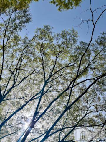 新潟デリヘル五十路マダム新潟店(カサブランカグループ)(イソジマダムニイガタテン)夏目みな(51)の2024年4月17日写メブログ「気持ちいい」