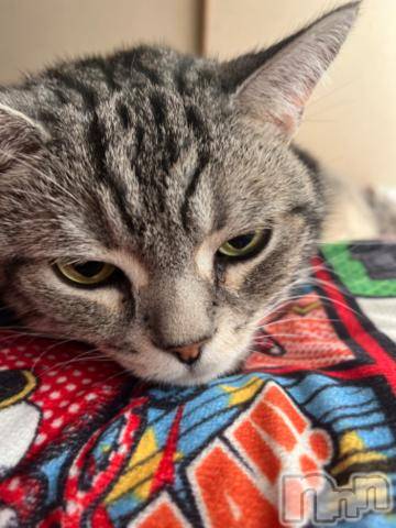 新潟デリヘル五十路マダム新潟店(カサブランカグループ)(イソジマダムニイガタテン)夏目みな(51)の2024年5月29日写メブログ「癒し」