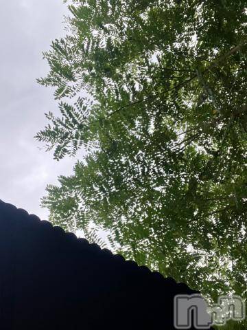 新潟デリヘル五十路マダム新潟店(カサブランカグループ)(イソジマダムニイガタテン)夏目みな(51)の2024年9月18日写メブログ「暇すぎて」